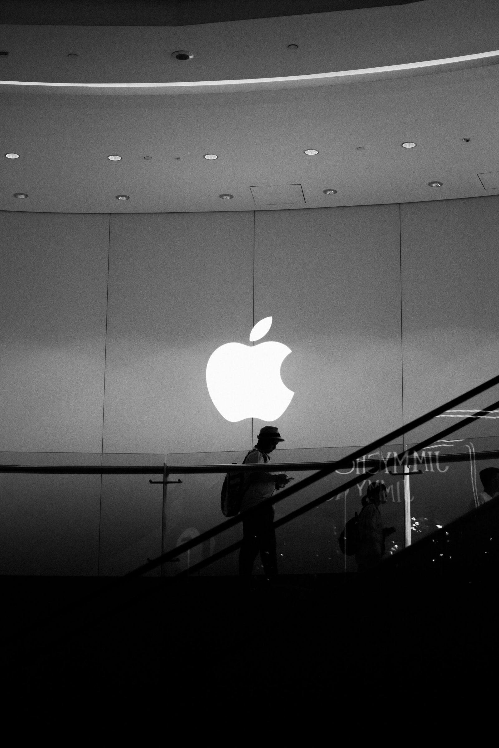 A Look Into Apple Stock: 2nd Largest Company In The World